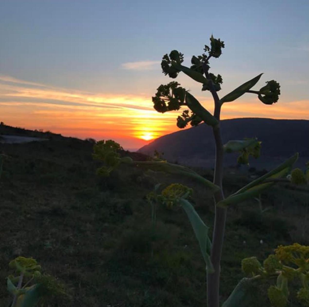 Bed and Breakfast In Sicilia Da Ciro à Vita Extérieur photo